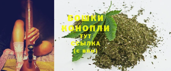 стаф Няндома