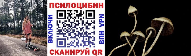 Галлюциногенные грибы GOLDEN TEACHER  где можно купить наркотик  Бодайбо 